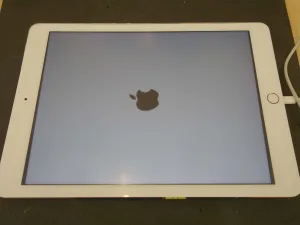電源が入らなくなった水没iPad6が起動。データもそのままで即日修理完了